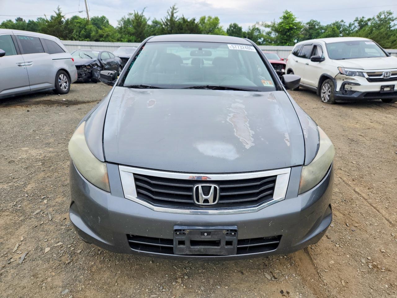2010 Honda Accord Lxp Gray vin: 1HGCP2F44AA110044