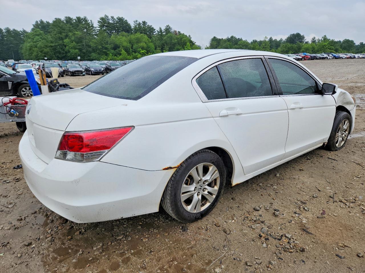 2010 Honda Accord Lxp White vin: 1HGCP2F44AA191045