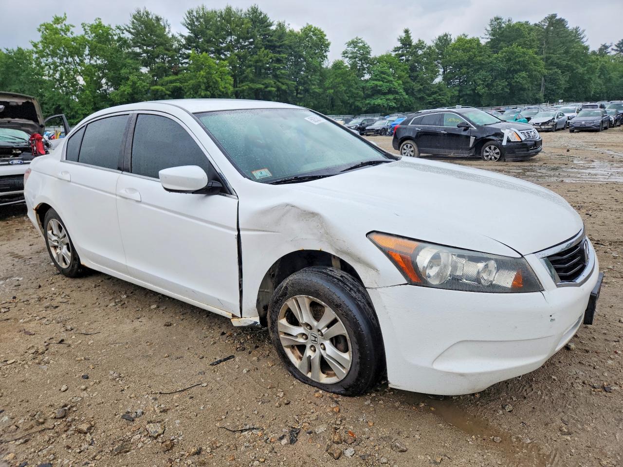 2010 Honda Accord Lxp White vin: 1HGCP2F44AA191045