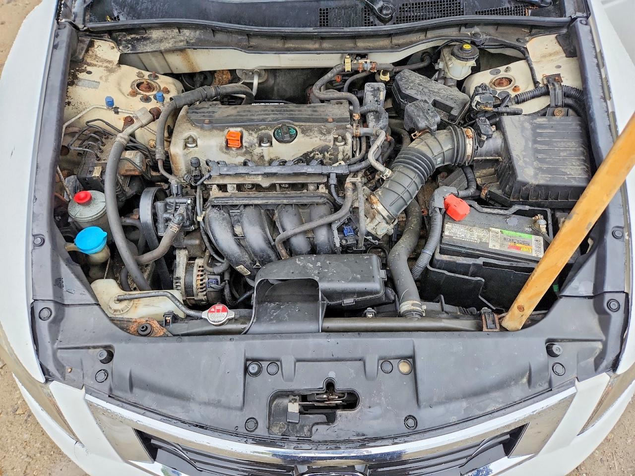 2010 Honda Accord Lxp White vin: 1HGCP2F44AA191045