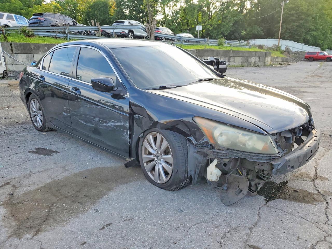 2011 Honda Accord Lxp Black vin: 1HGCP2F44BA005599