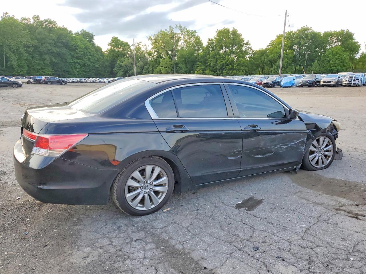 2011 Honda Accord Lxp Black vin: 1HGCP2F44BA005599