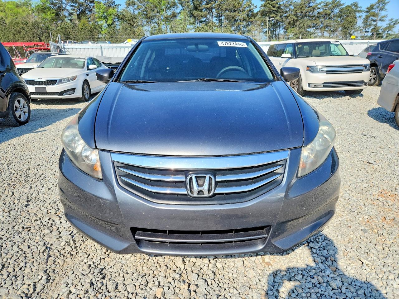 2011 Honda Accord Lxp Gray vin: 1HGCP2F44BA112720