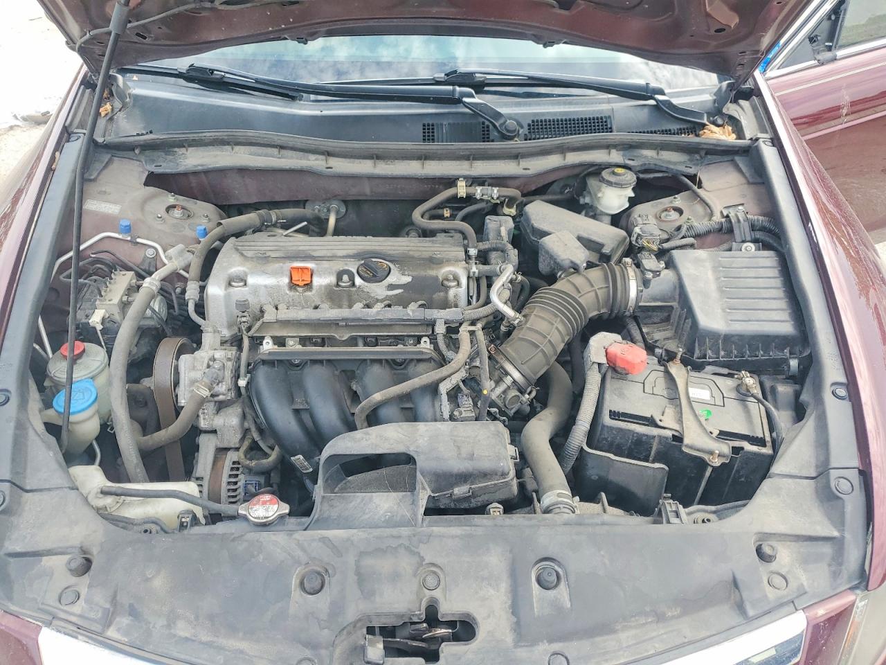 2012 Honda Accord Lxp Burgundy vin: 1HGCP2F44CA097783