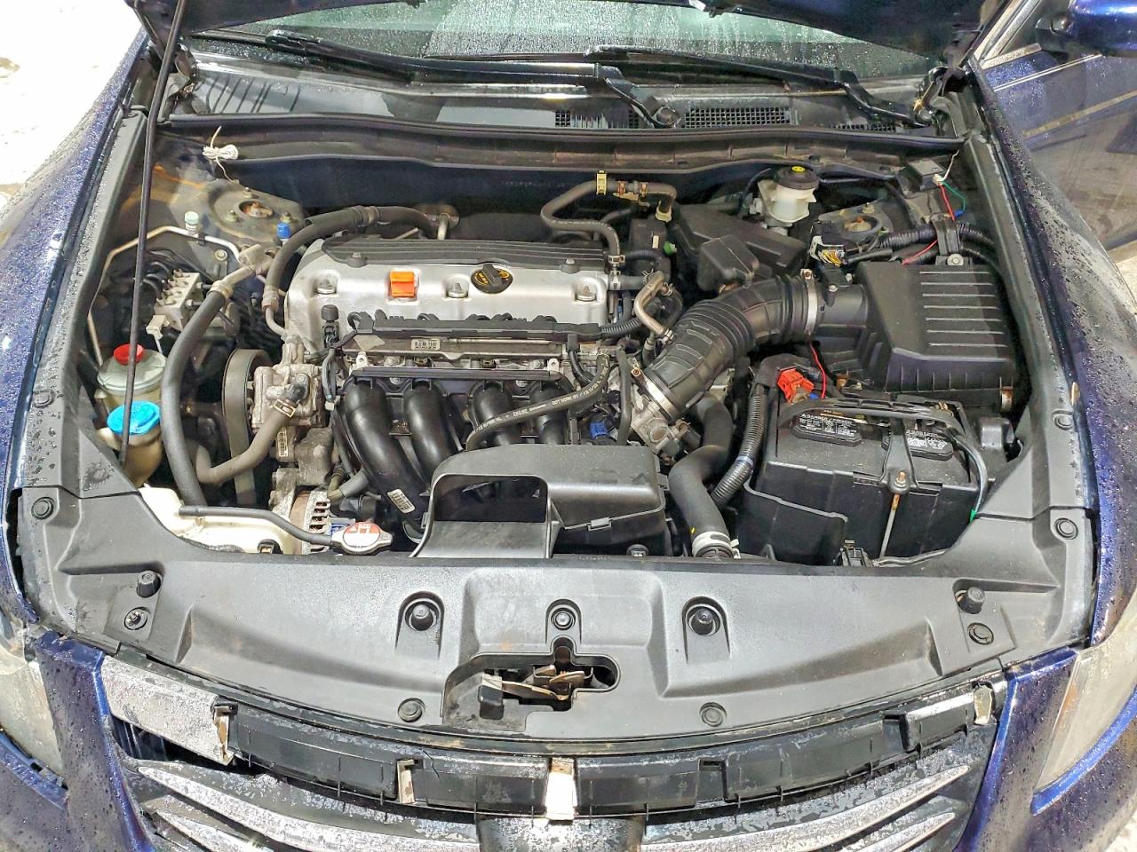 2012 Honda Accord Blue vin: 1HGCP2F44CA148733