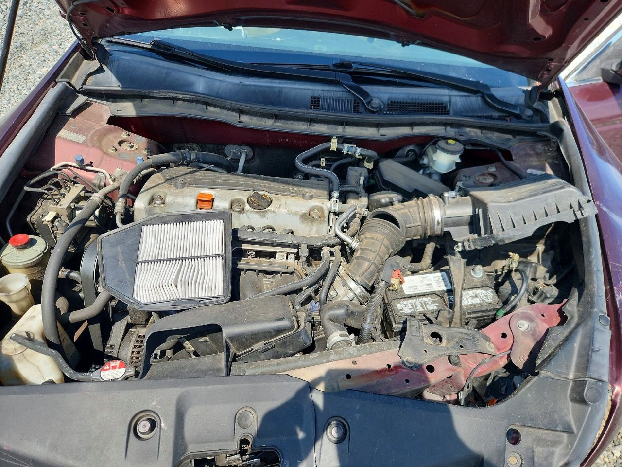 2012 Honda Accord Lxp Purple vin: 1HGCP2F44CA218540