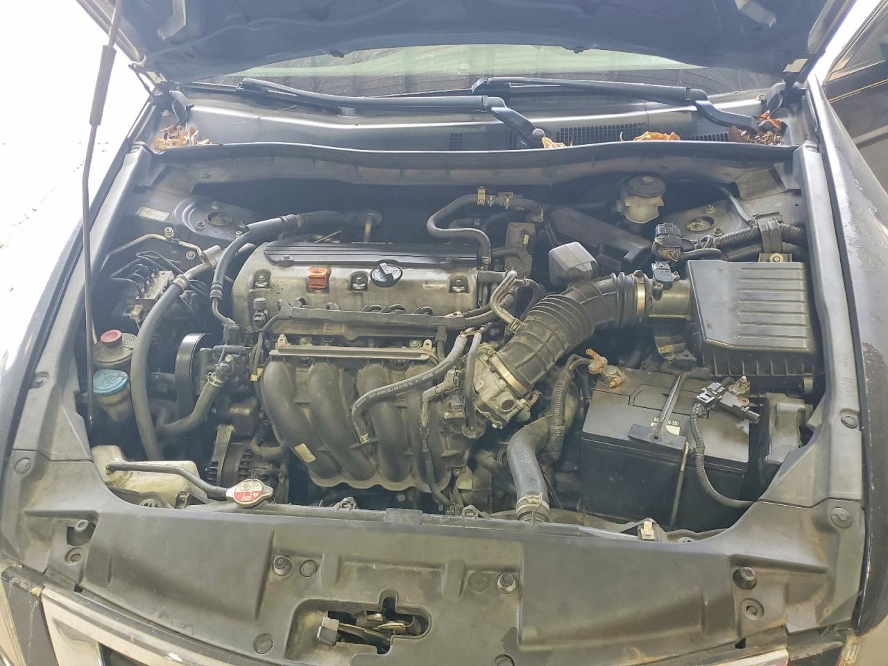 2010 Honda Accord Lxp Черный vin: 1HGCP2F45AA006050