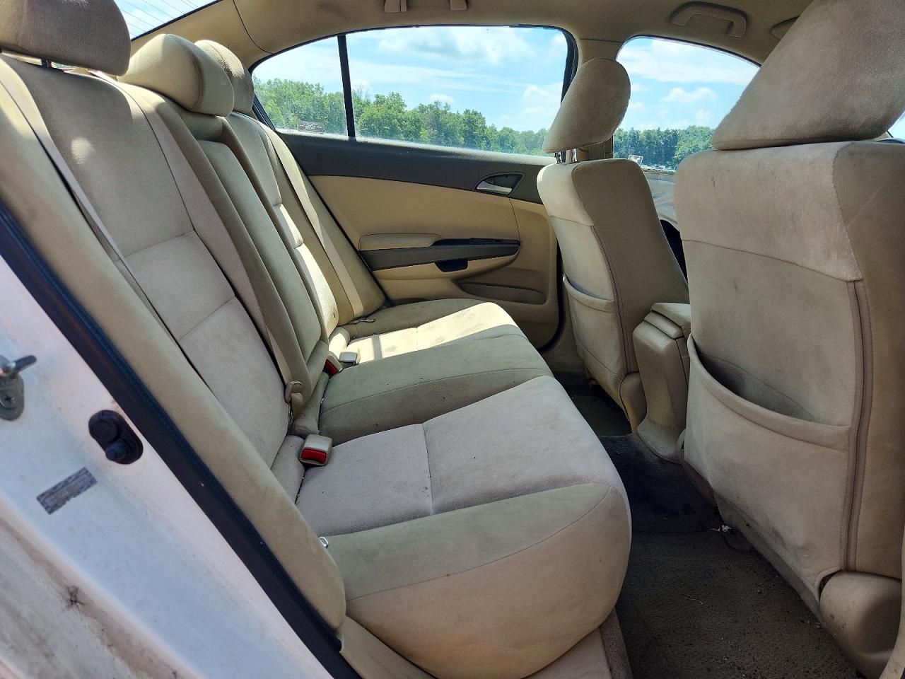 2010 Honda Accord Lxp White vin: 1HGCP2F45AA009305