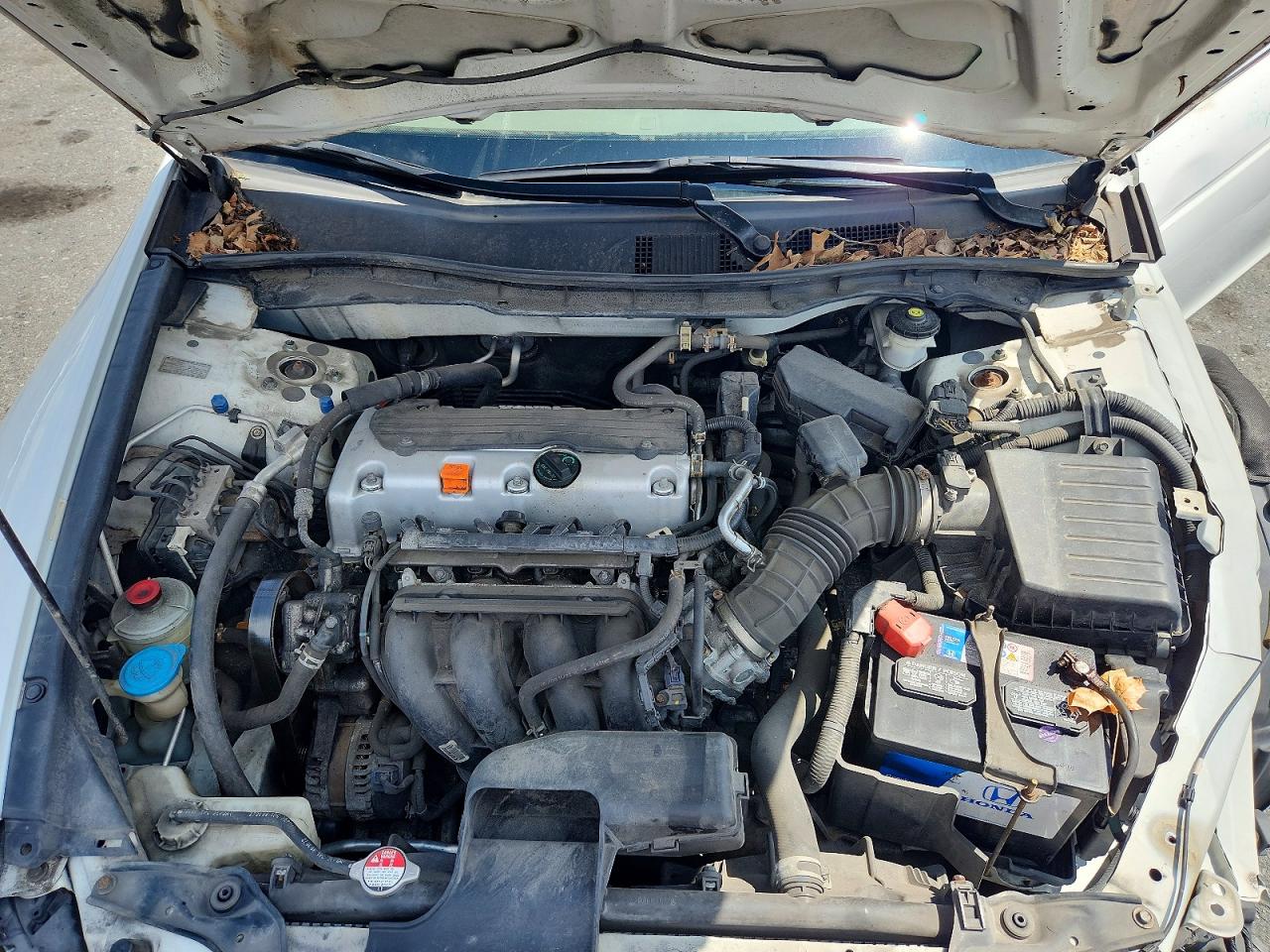 2010 Honda Accord Lxp White vin: 1HGCP2F45AA009305