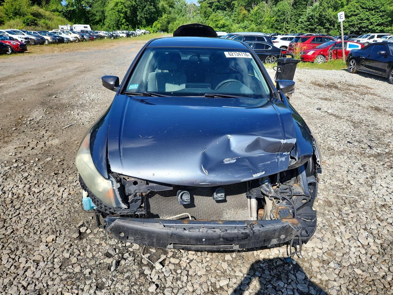 2010 Honda Accord Lxp Gray vin: 1HGCP2F45AA047438