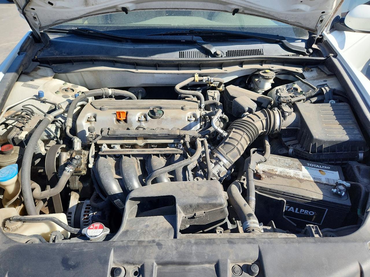 2010 Honda Accord Lxp White vin: 1HGCP2F45AA113308