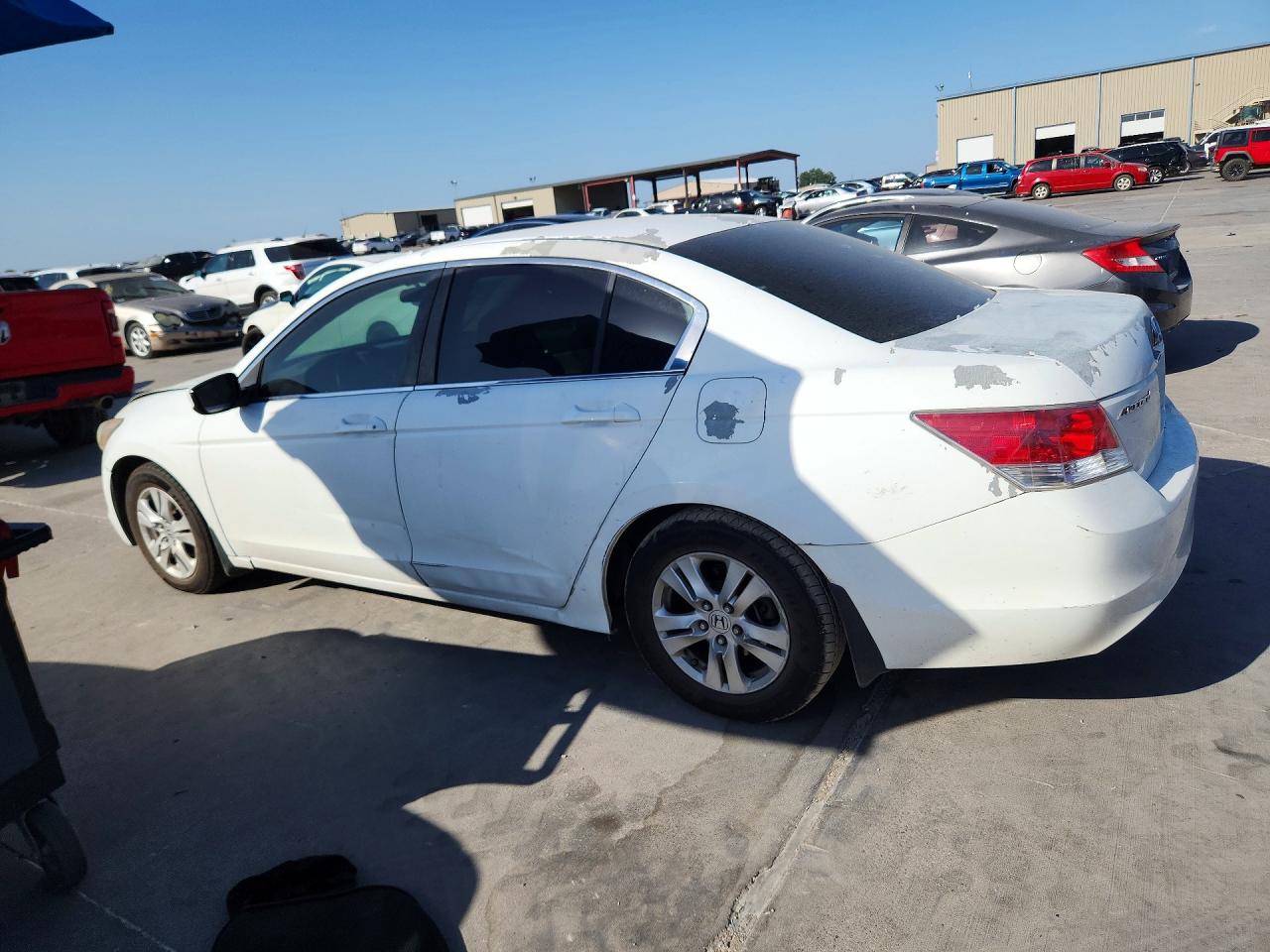 2010 Honda Accord Lxp White vin: 1HGCP2F45AA113308