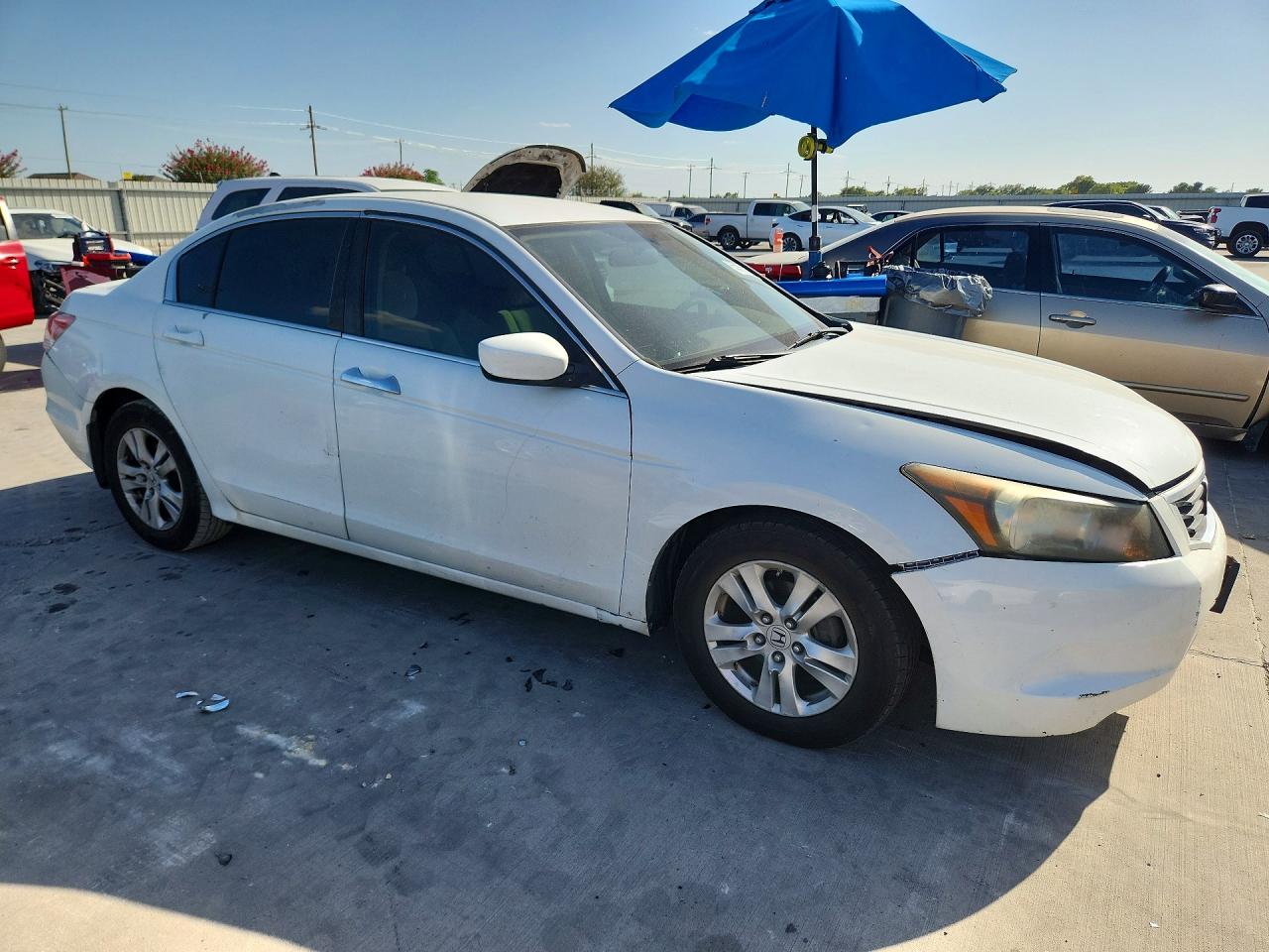 2010 Honda Accord Lxp White vin: 1HGCP2F45AA113308