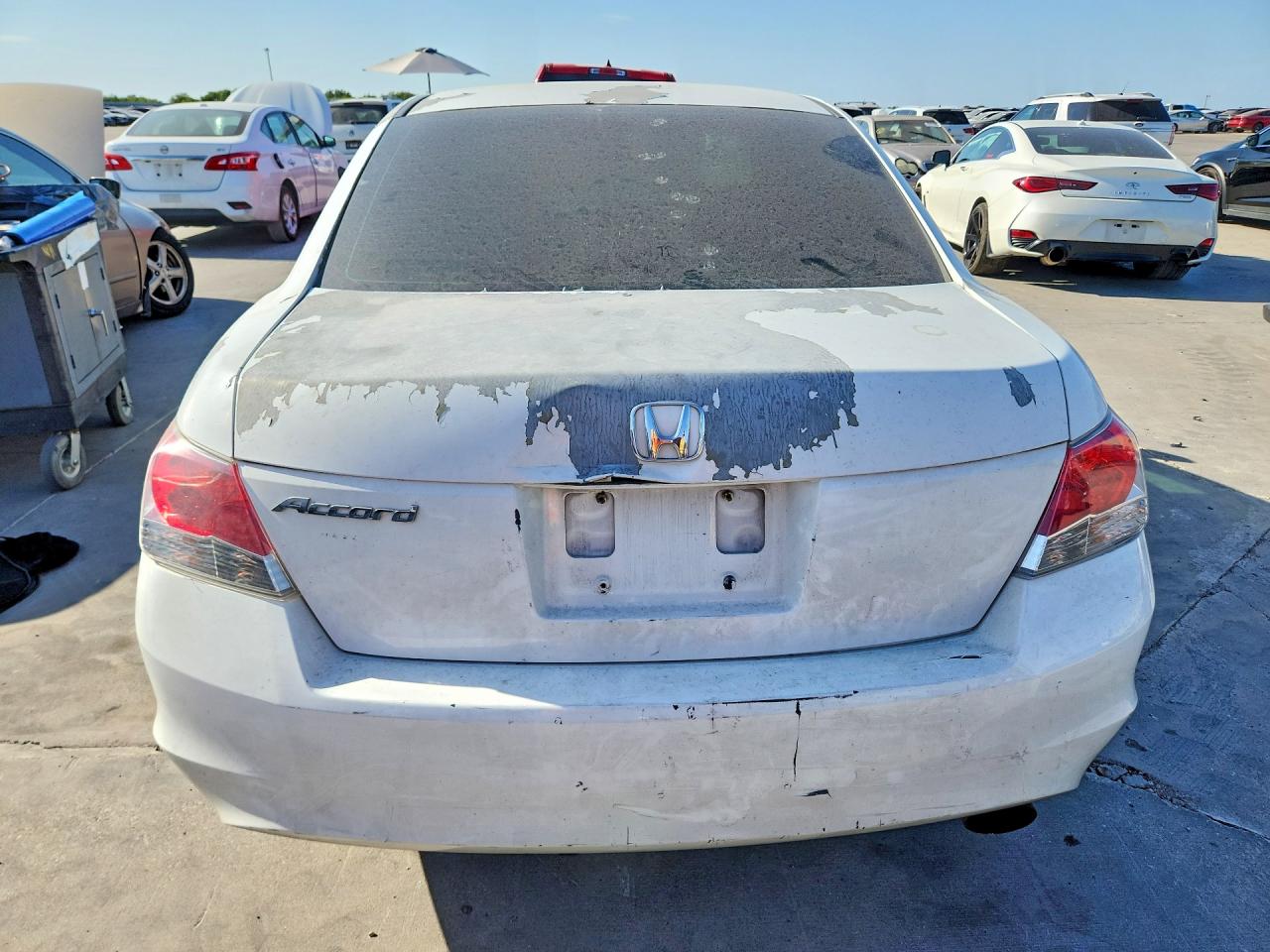 2010 Honda Accord Lxp White vin: 1HGCP2F45AA113308