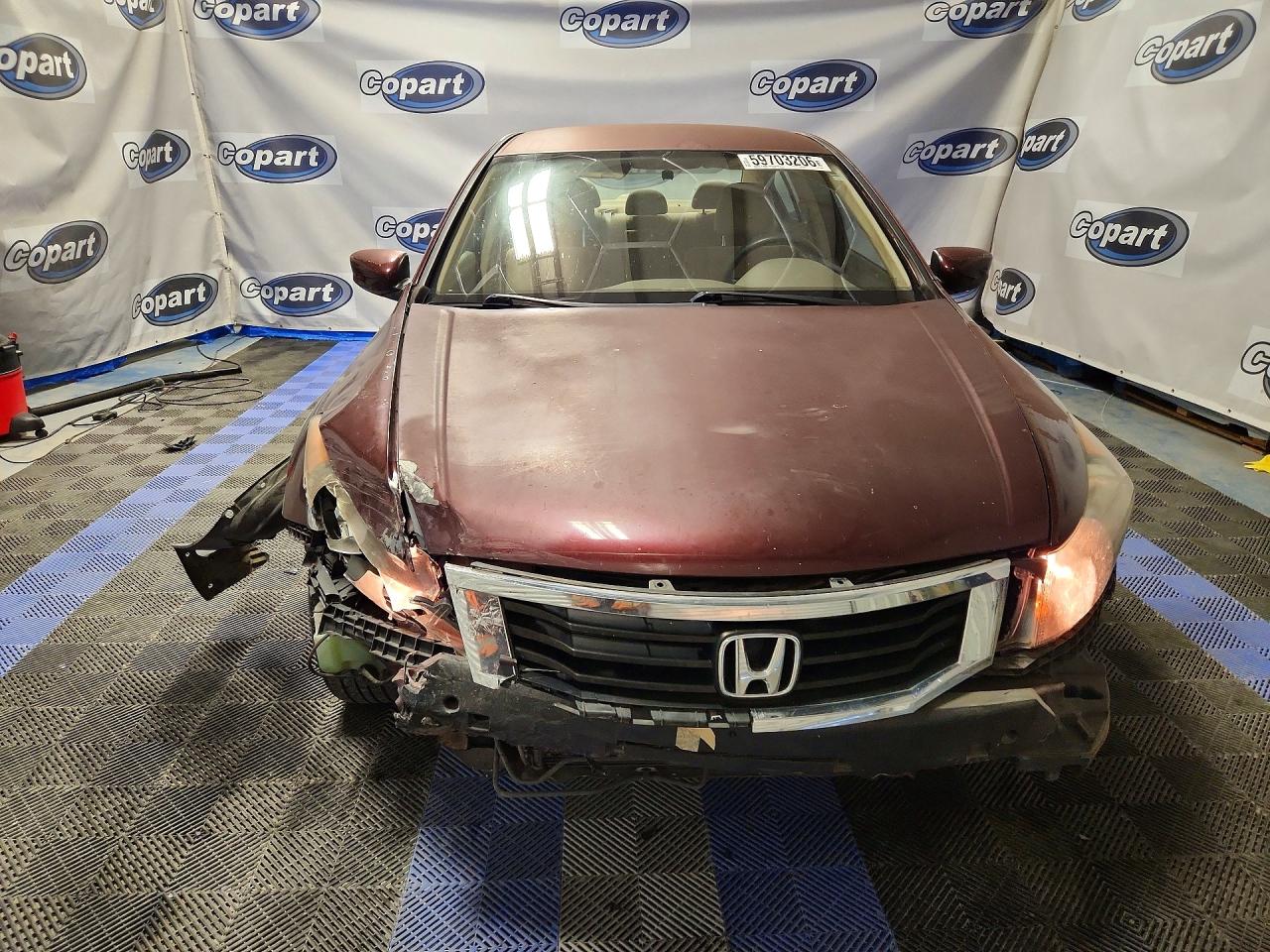 2010 Honda Accord Lxp Burgundy vin: 1HGCP2F45AA150388