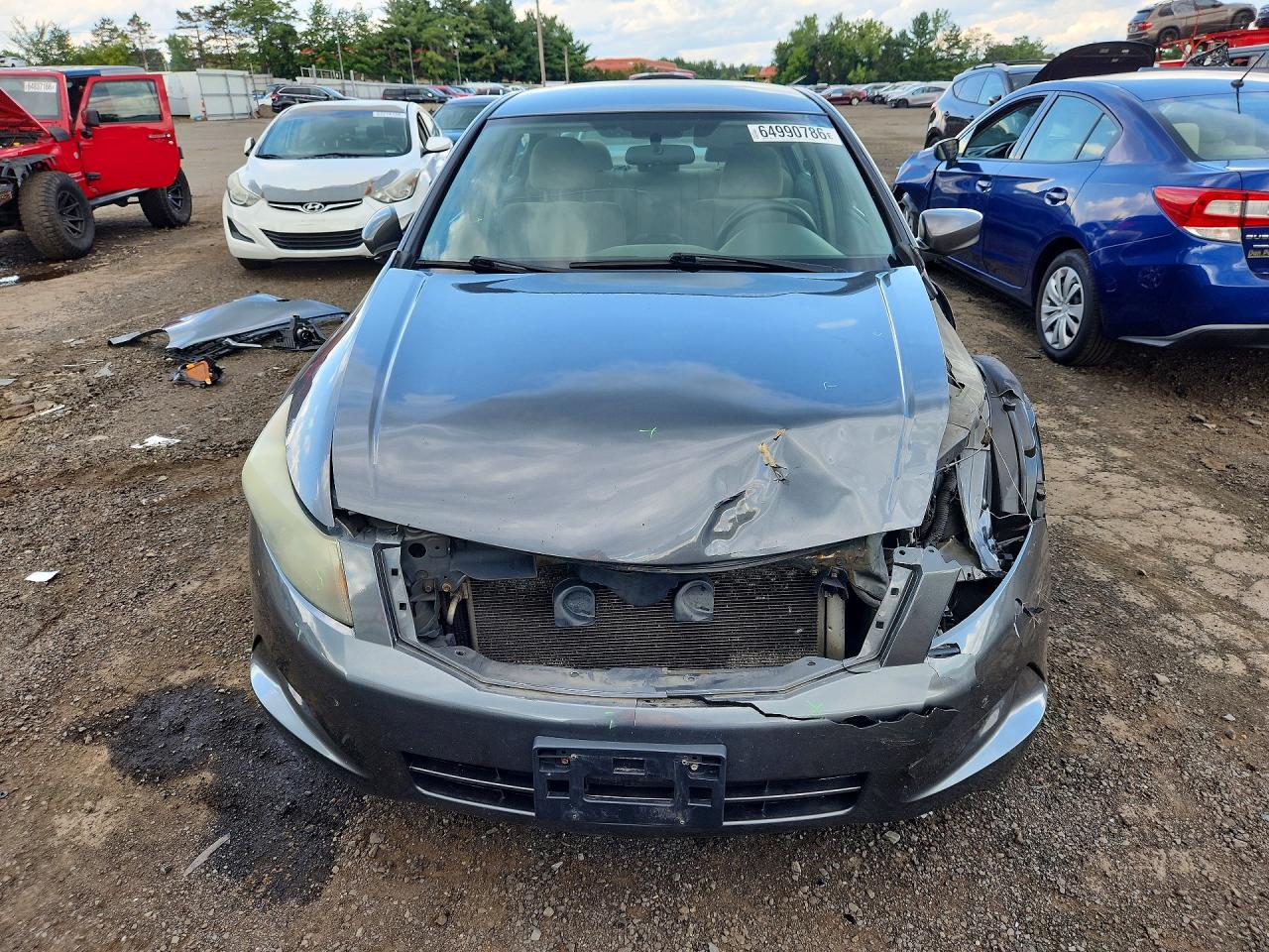 2010 Honda Accord Lxp Gray vin: 1HGCP2F45AA176411
