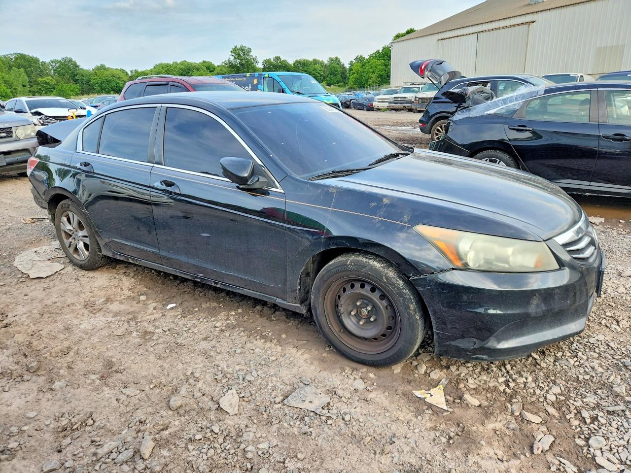 2011 Honda Accord Lxp Black vin: 1HGCP2F45BA145855
