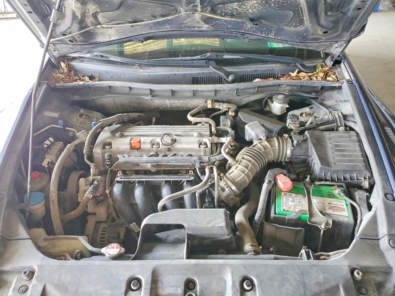 2011 Honda Accord Lxp Green vin: 1HGCP2F45BA152658