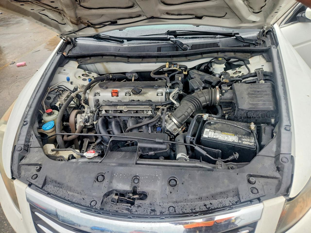 2012 Honda Accord Lxp Белый vin: 1HGCP2F45CA143685