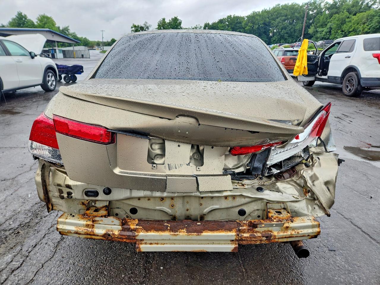 2010 Honda Accord Lxp Золотой vin: 1HGCP2F46AA016280