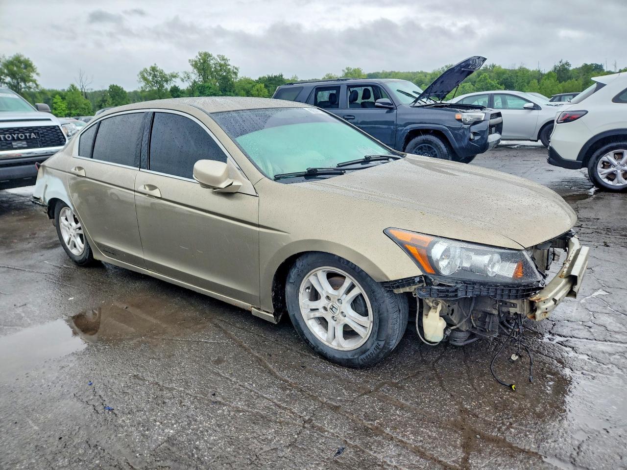 2010 Honda Accord Lxp Золотой vin: 1HGCP2F46AA016280