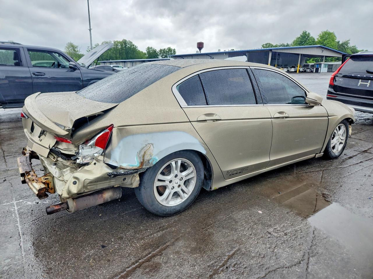 2010 Honda Accord Lxp Золотой vin: 1HGCP2F46AA016280