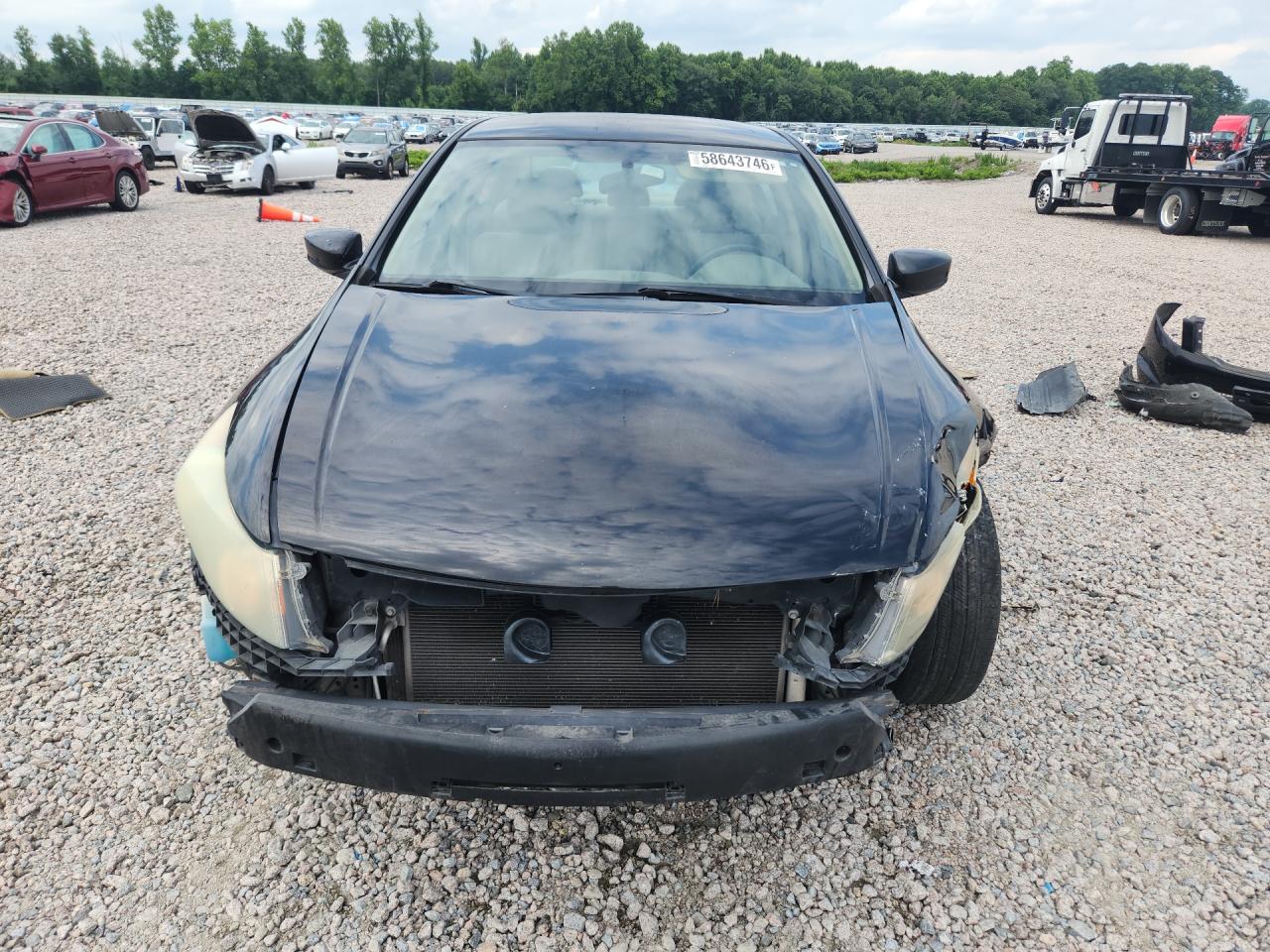 2010 Honda Accord Lxp Black vin: 1HGCP2F46AA023570