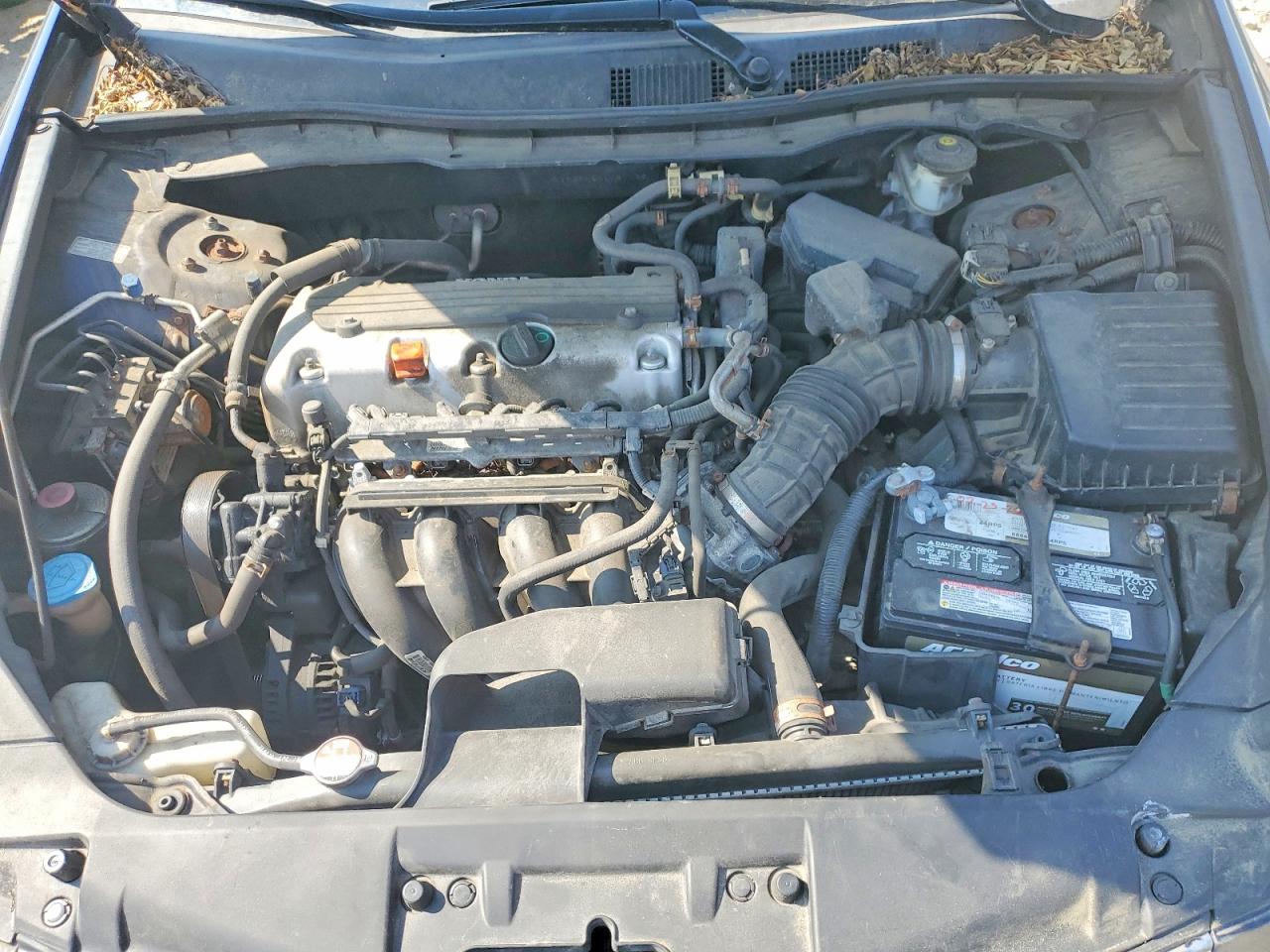 2010 Honda Accord Lxp Blue vin: 1HGCP2F46AA181035