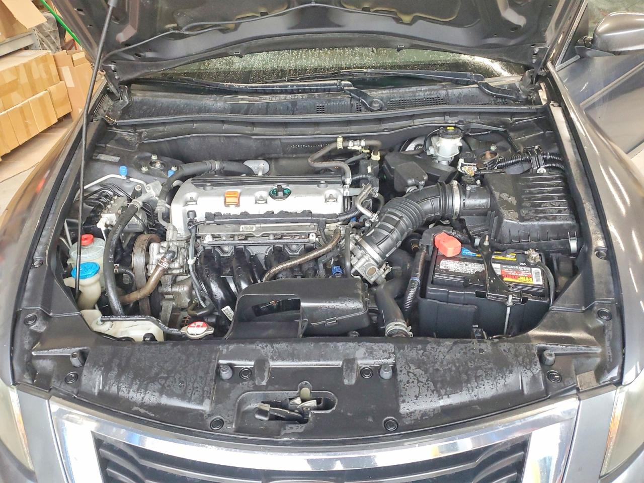 2010 Honda Accord Lxp Blue vin: 1HGCP2F46AA195775