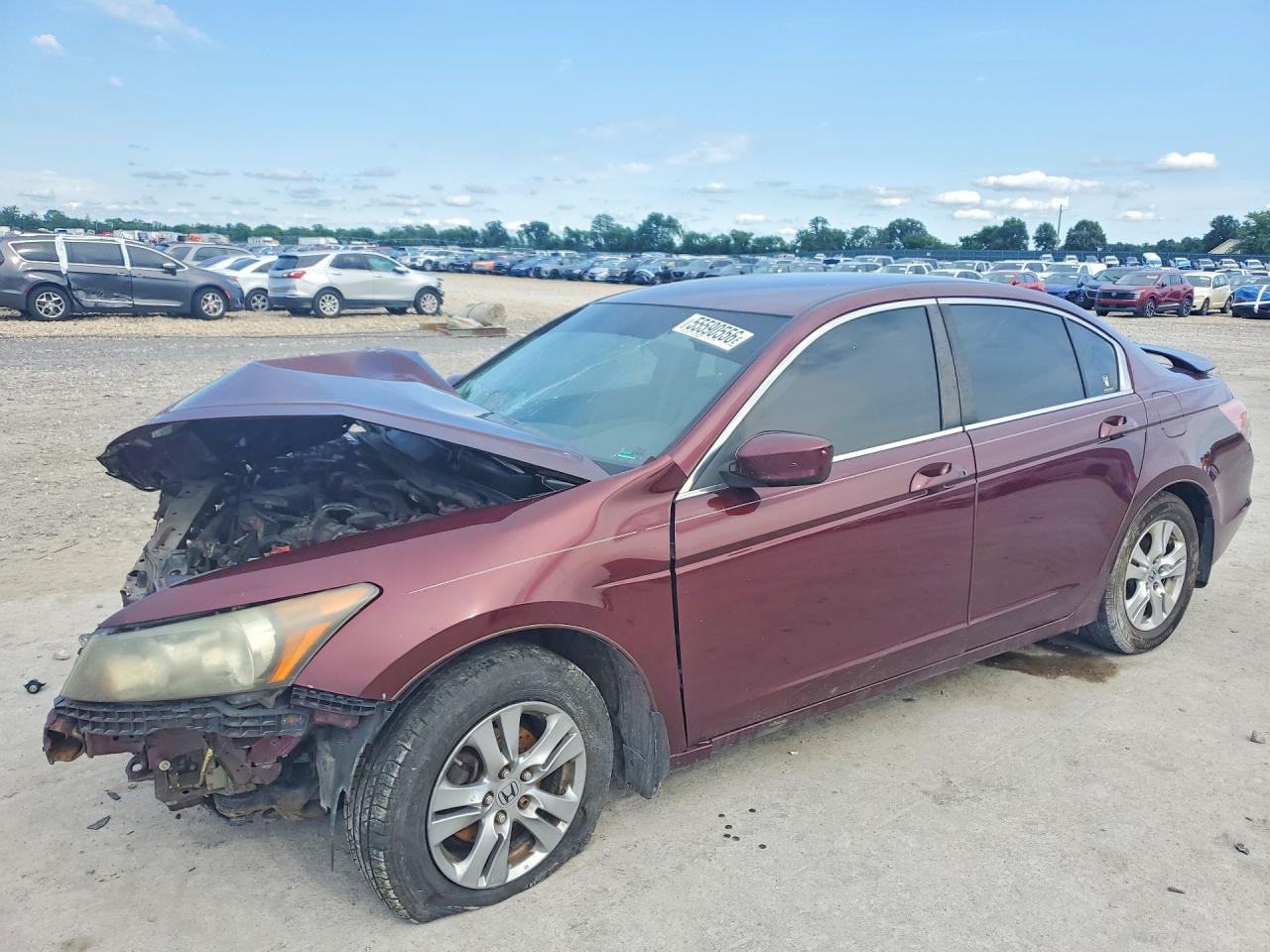 2011 Honda Accord Lxp Maroon vin: 1HGCP2F46BA057073