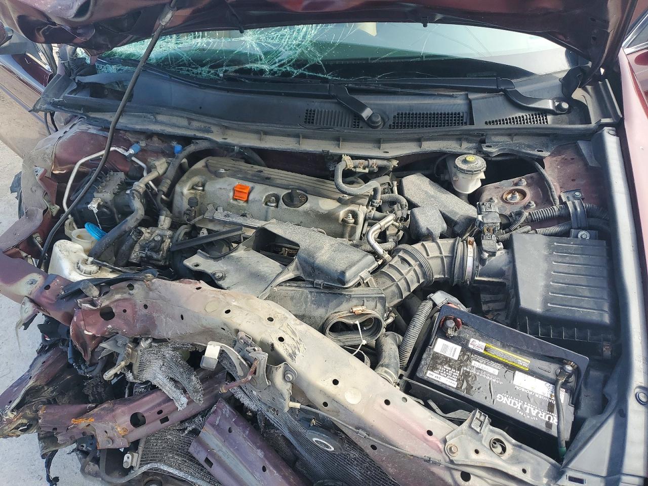 2011 Honda Accord Lxp Maroon vin: 1HGCP2F46BA057073