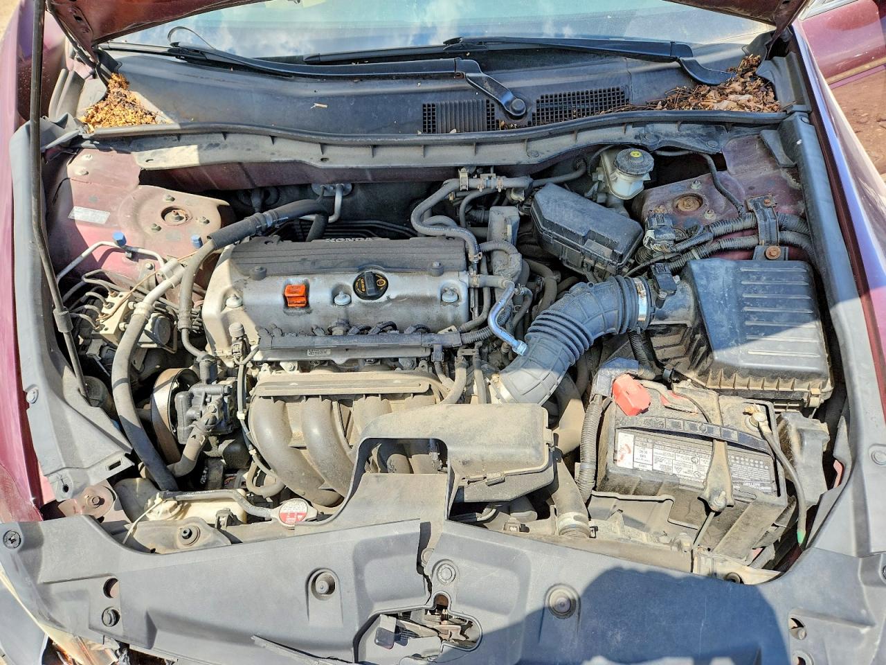 2012 Honda Accord Lxp Purple vin: 1HGCP2F46CA070584