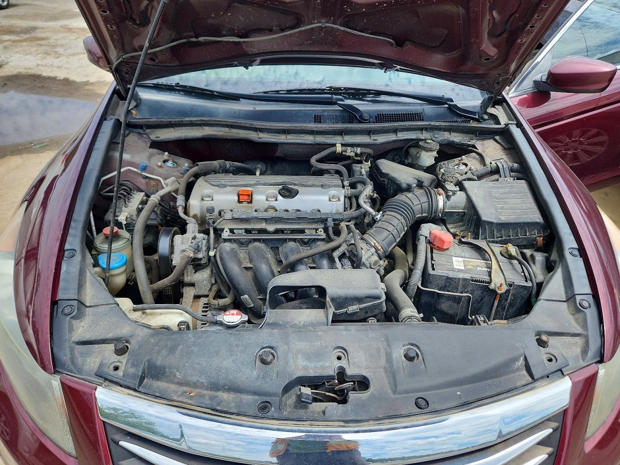 2012 Honda Accord Lxp Бордовый vin: 1HGCP2F46CA071461