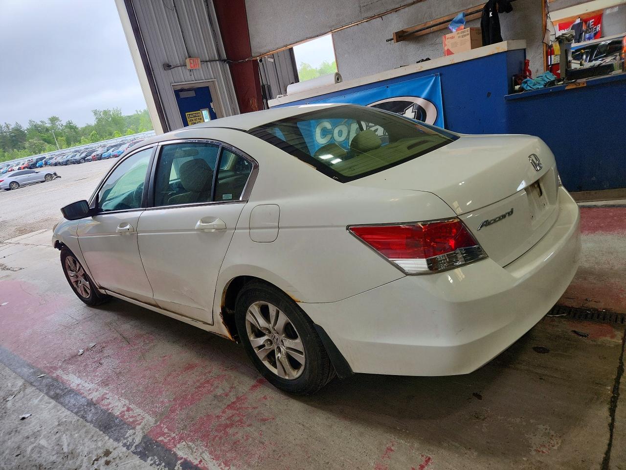 2010 Honda Accord Lxp White vin: 1HGCP2F47AA154118