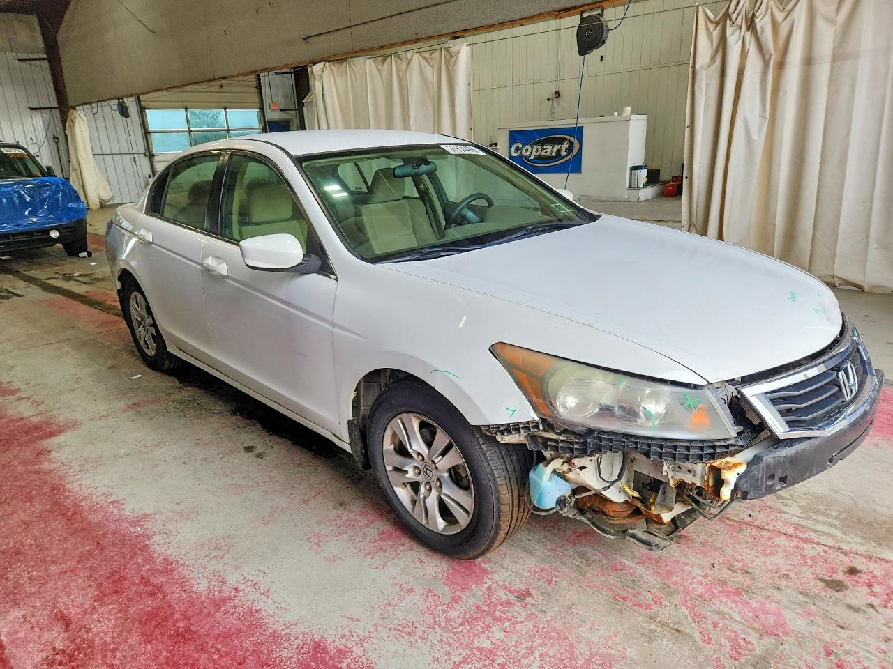 2010 Honda Accord Lxp White vin: 1HGCP2F47AA154118