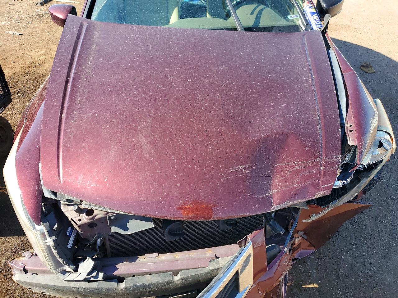 2010 Honda Accord Lxp Красный vin: 1HGCP2F48AA037339
