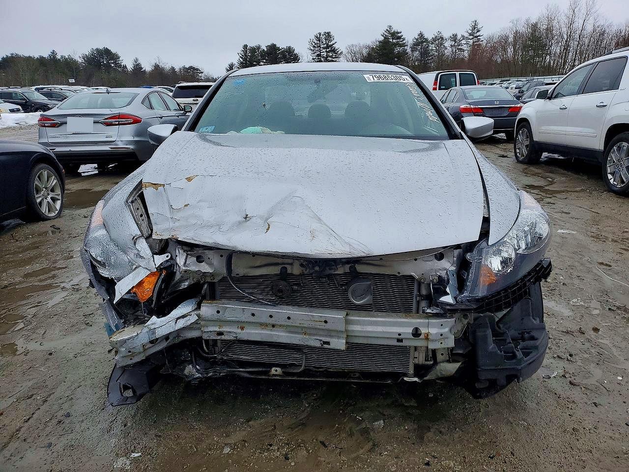 2010 Honda Accord Lxp Silver vin: 1HGCP2F48AA065982
