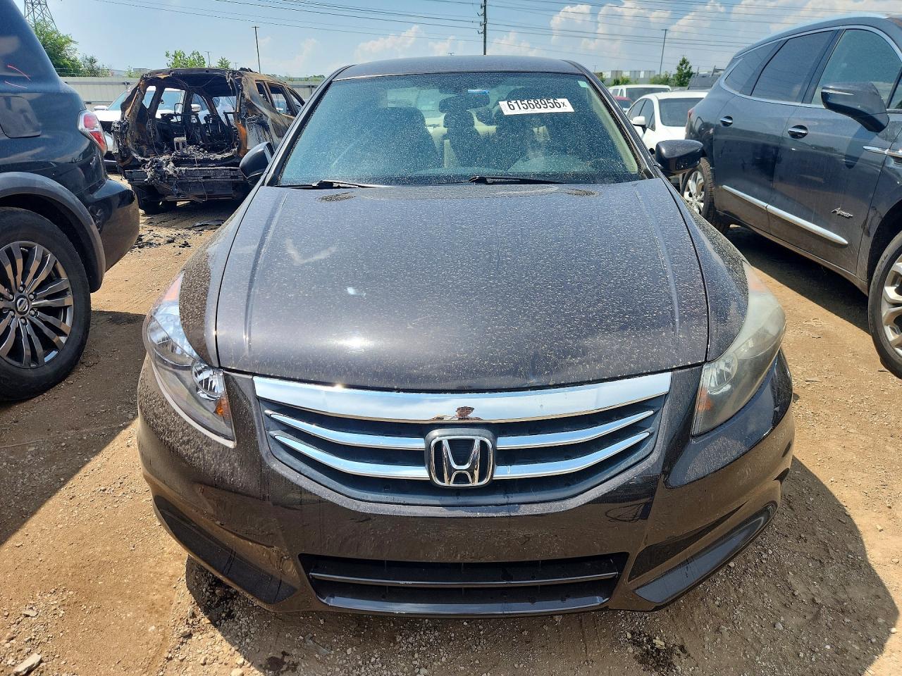 2011 Honda Accord Lxp Gray vin: 1HGCP2F48BA048603