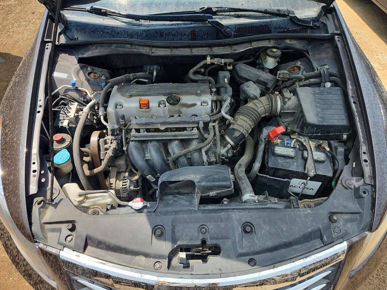 2011 Honda Accord Lxp Gray vin: 1HGCP2F48BA048603