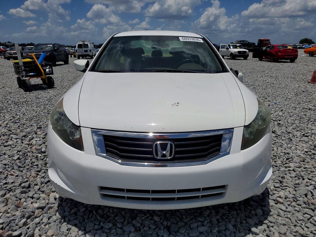 2010 Honda Accord Lxp White vin: 1HGCP2F49AA181403