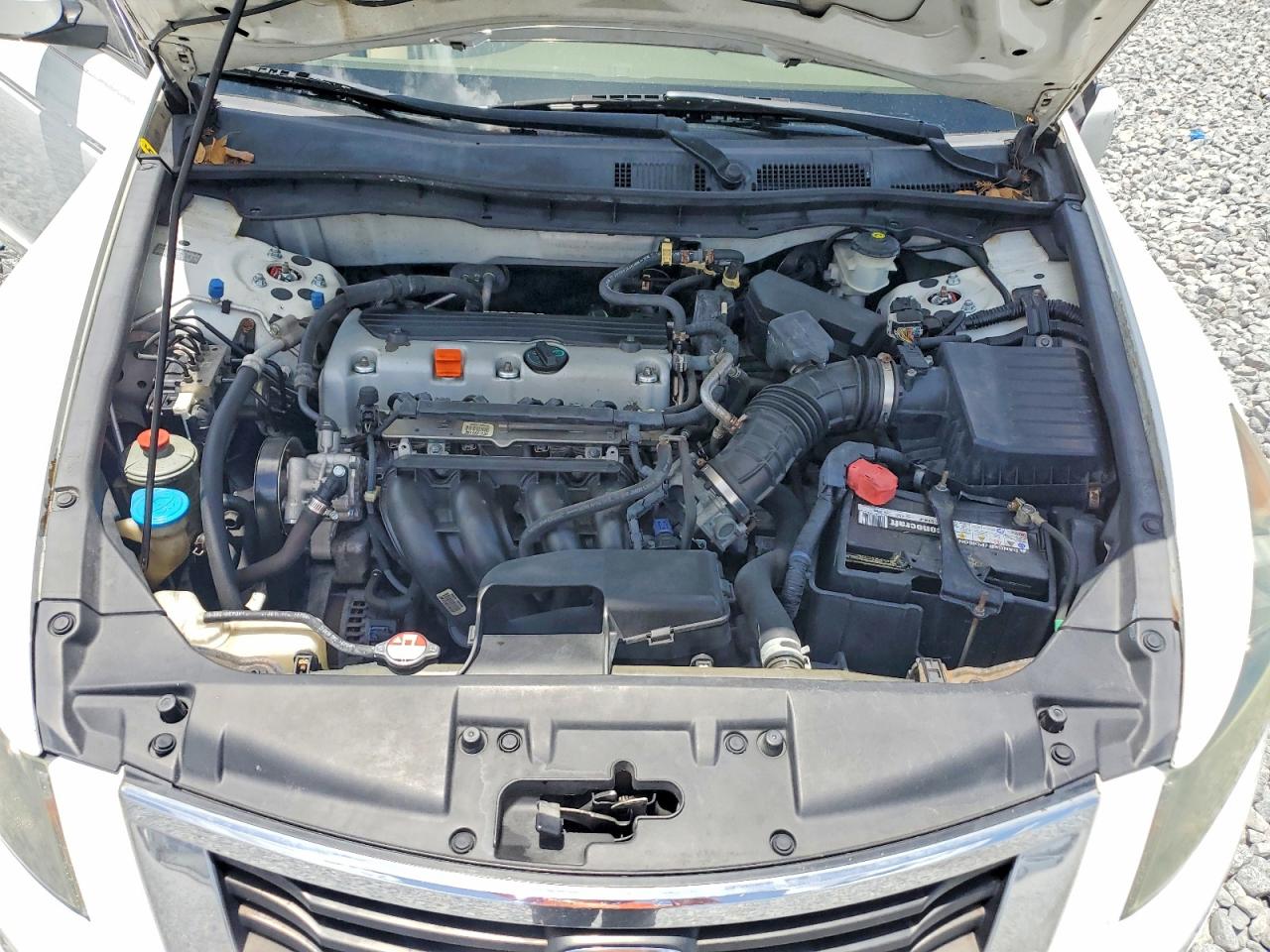 2010 Honda Accord Lxp White vin: 1HGCP2F49AA181403