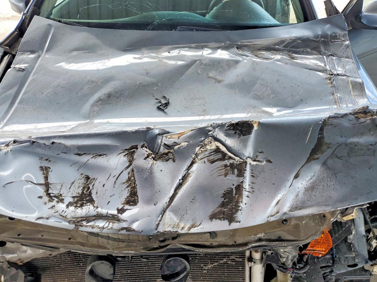 2011 Honda Accord Lxp Silver vin: 1HGCP2F49BA152310