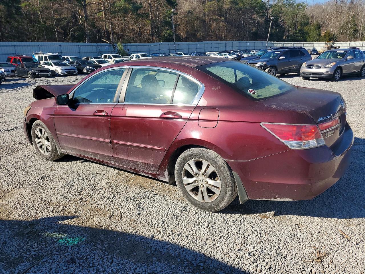2012 Honda Accord Lxp Maroon vin: 1HGCP2F49CA173868