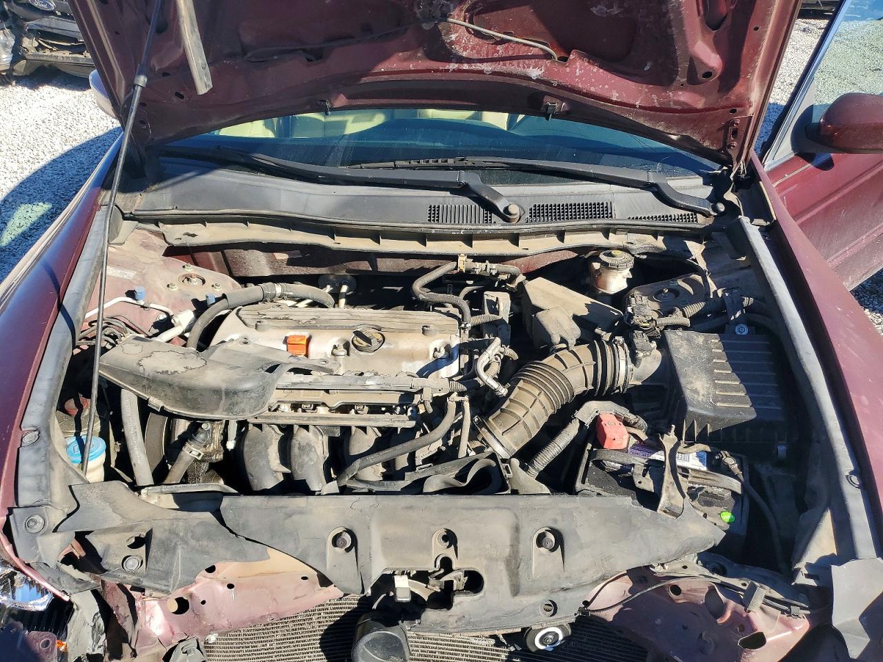 2012 Honda Accord Lxp Maroon vin: 1HGCP2F49CA173868