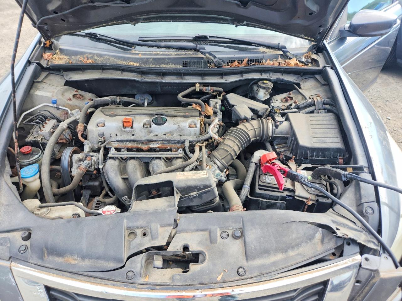 2010 Honda Accord Lxp Gray vin: 1HGCP2F4XAA145039