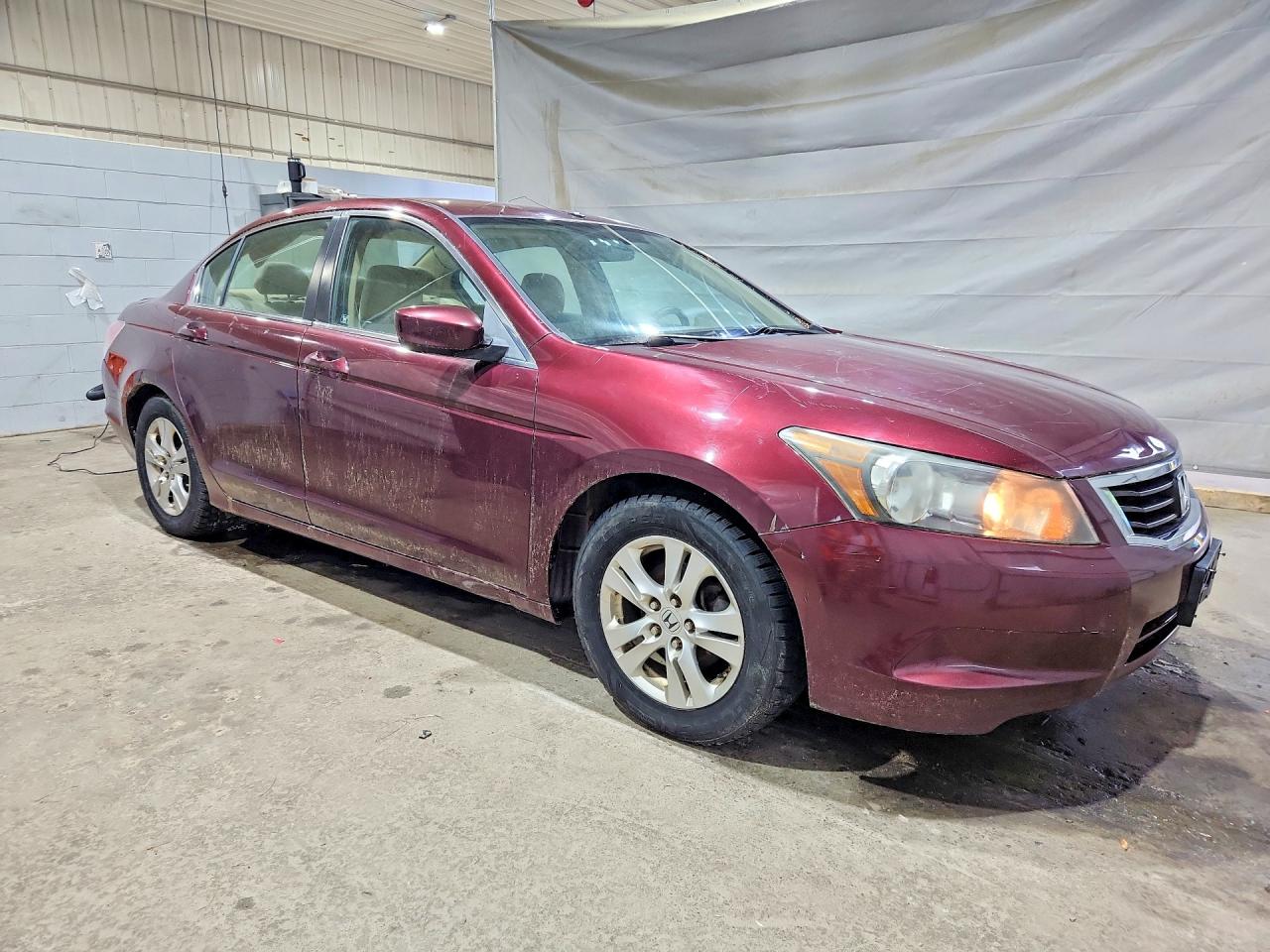 2010 Honda Accord Lxp Темно-бордовый vin: 1HGCP2F4XAA191499