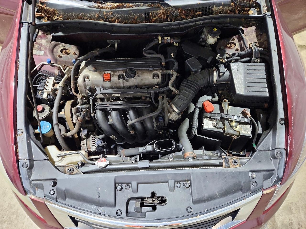 2010 Honda Accord Lxp Темно-бордовый vin: 1HGCP2F4XAA191499