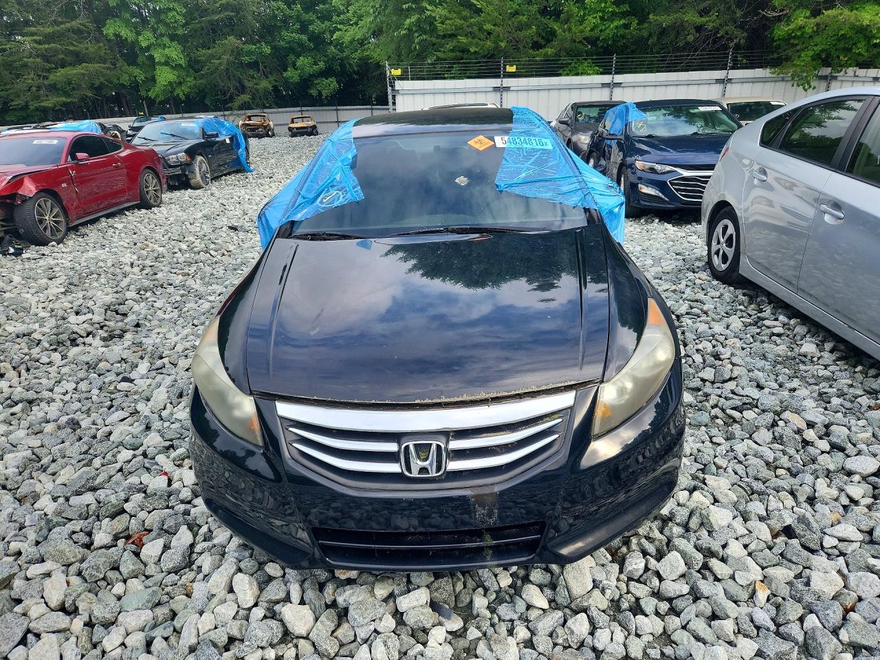 2011 Honda Accord Lxp Black vin: 1HGCP2F4XBA051857