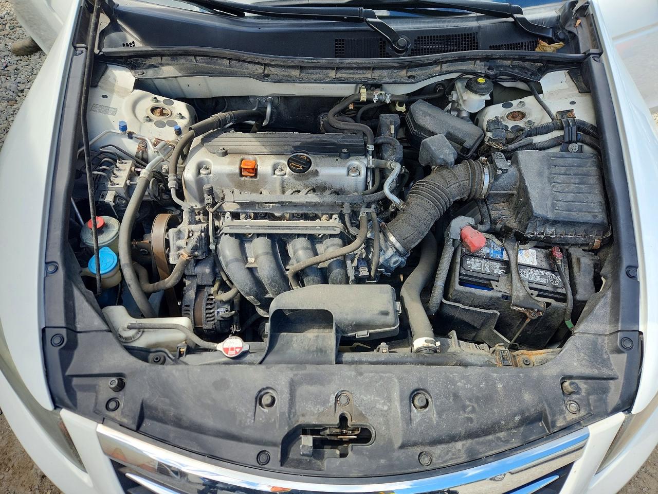 2012 Honda Accord Lxp White vin: 1HGCP2F4XCA235567