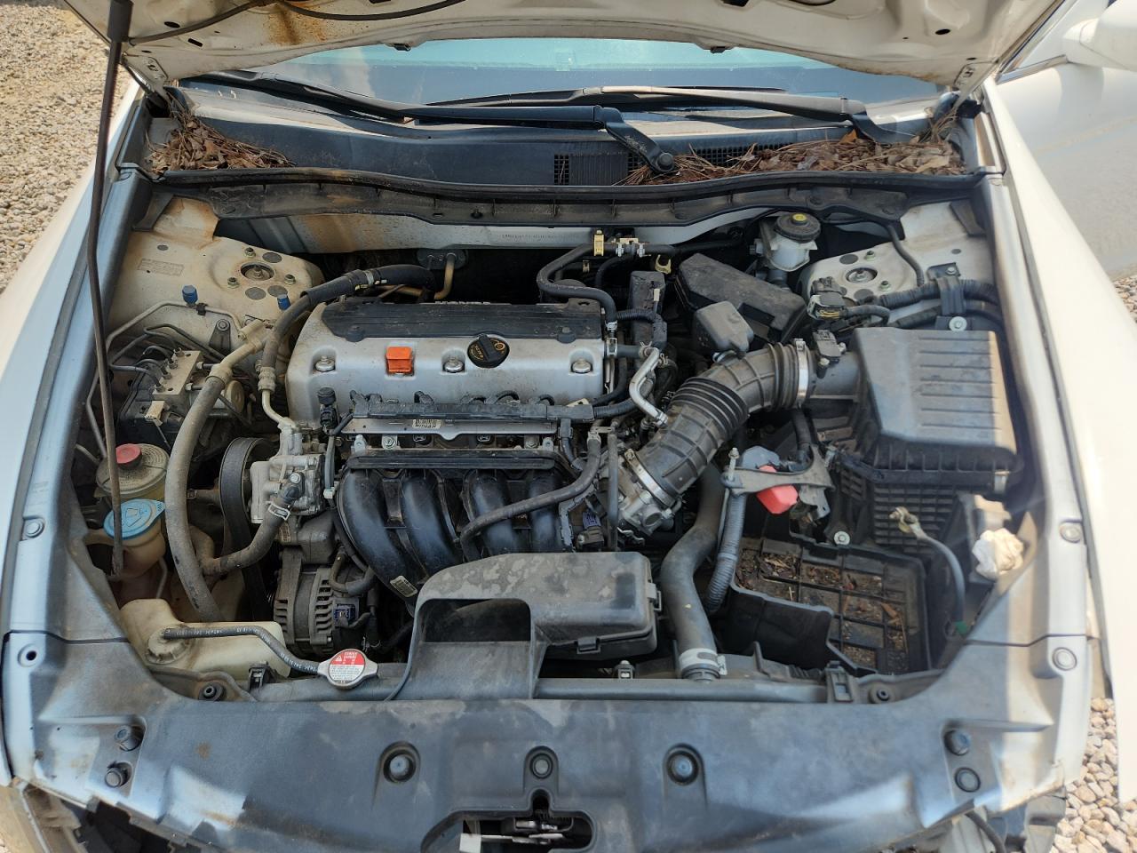 2012 Honda Accord Se White vin: 1HGCP2F60CA035833